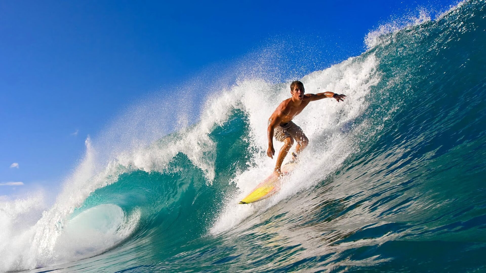 从红土到绿茵，阿尔卡拉斯戴维斯杯横扫背后的蒙特卡洛大师赛淬炼